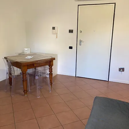 Carolina * ゾーラ・プレドーザ