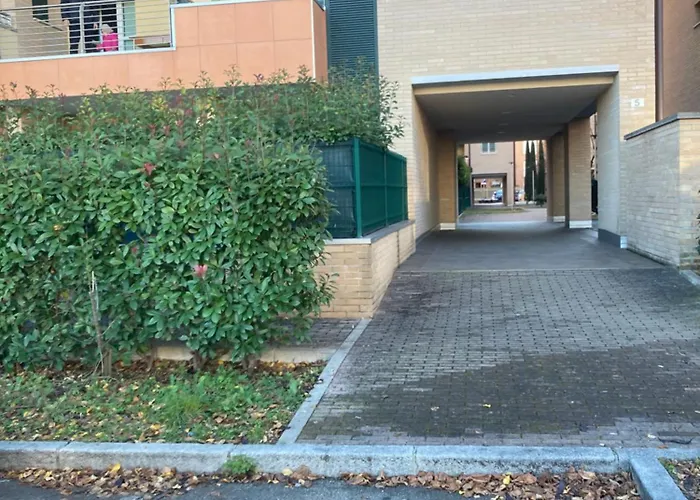 Carolina 佐拉普雷多萨